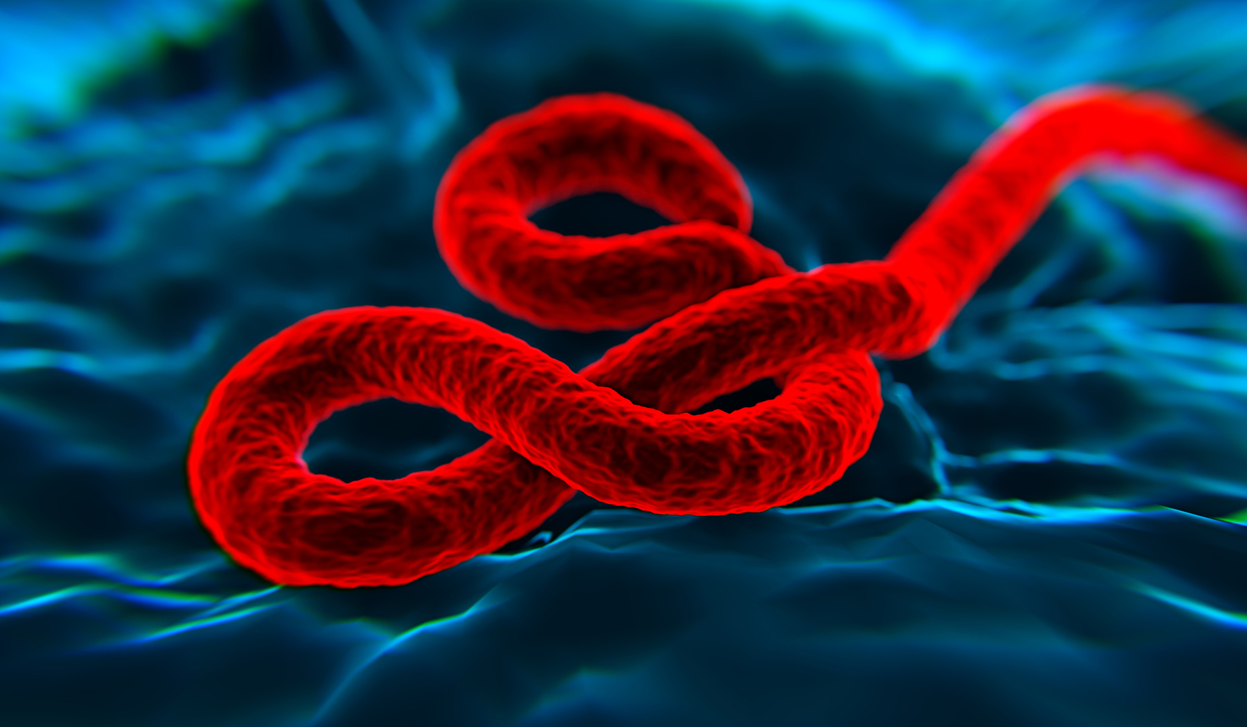 2015 01 12 EBOLA nanomanpro Fotolia com